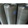 Galvanized Welded Wire Mesh (TS-L12)